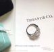 AAA Replica Tiffany Bow Ribbon Engagement Ring In Platinum (6)_th.jpg